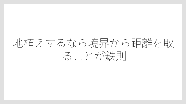 地植えするなら境界から距離を取ることが鉄則