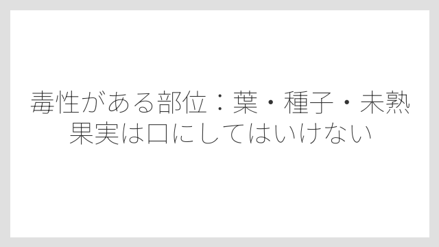 毒性がある部位：葉・種子・未熟果実は口にしてはいけない