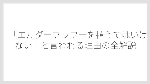 「エルダーフラワーを植えてはいけない」と言われる理由の全解説