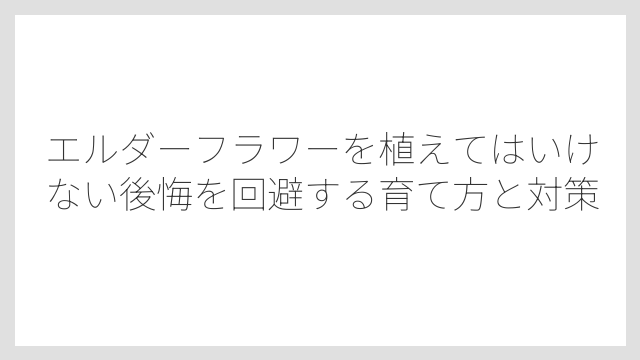 日本の高温多湿な夏が苦手で管理が難しくなる
