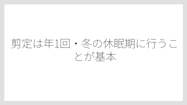 剪定は年1回・冬の休眠期に行うことが基本