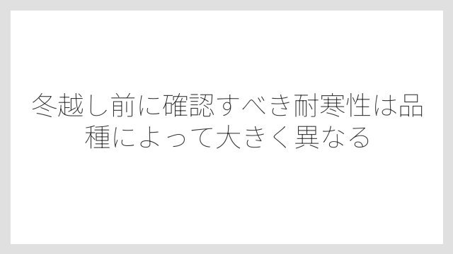 冬越し前に確認すべき耐寒性は品種によって大きく異なる