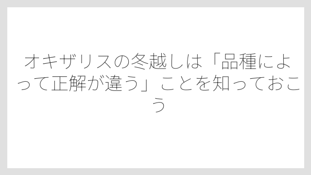 オキザリスの冬越しは「品種によって正解が違う」ことを知っておこう