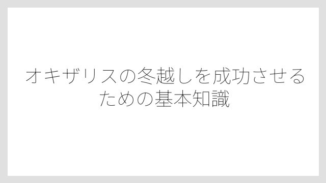 オキザリスの冬越しを成功させるための基本知識