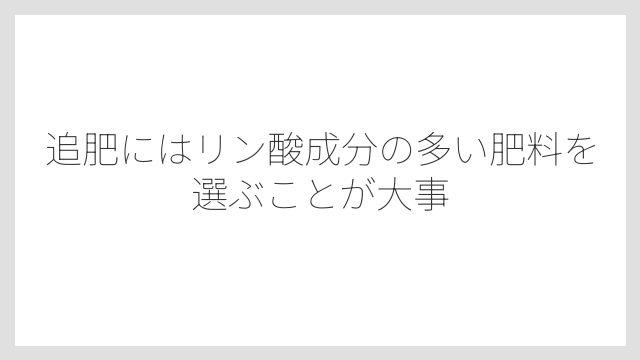 追肥にはリン酸成分の多い肥料を選ぶことが大事