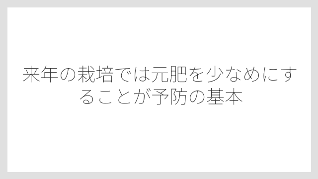 来年の栽培では元肥を少なめにすることが予防の基本