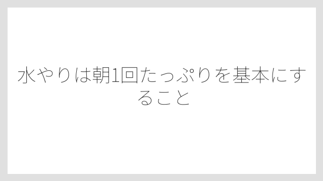 水やりは朝1回たっぷりを基本にすること