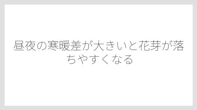 昼夜の寒暖差が大きいと花芽が落ちやすくなる