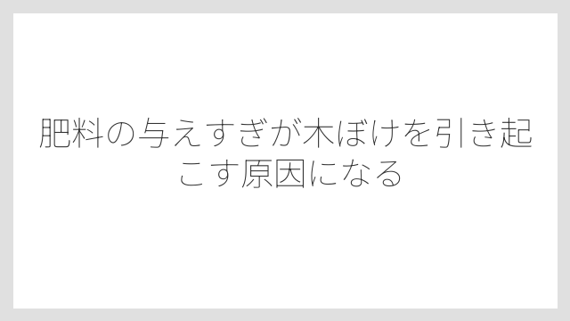肥料の与えすぎが木ぼけを引き起こす原因になる