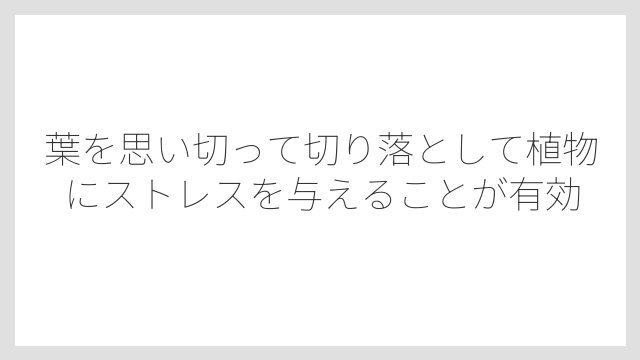 葉を思い切って切り落として植物にストレスを与えることが有効