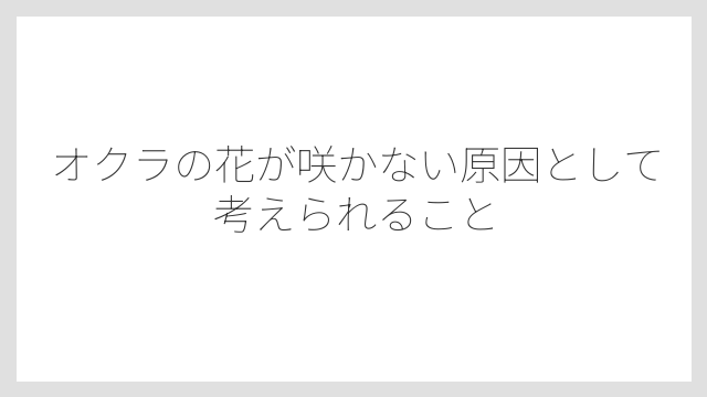 オクラの花が咲かない原因として考えられること