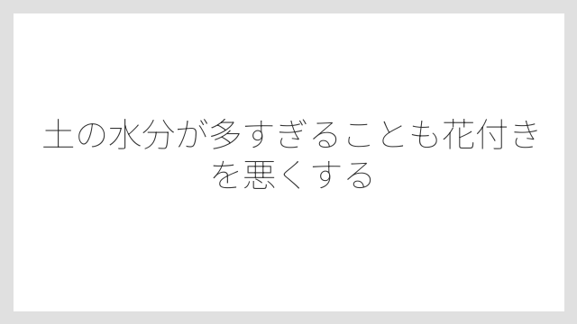 土の水分が多すぎることも花付きを悪くする