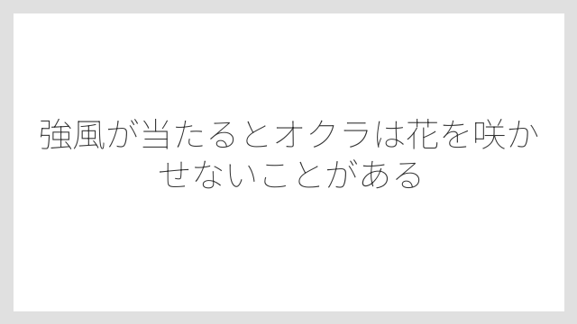 強風が当たるとオクラは花を咲かせないことがある