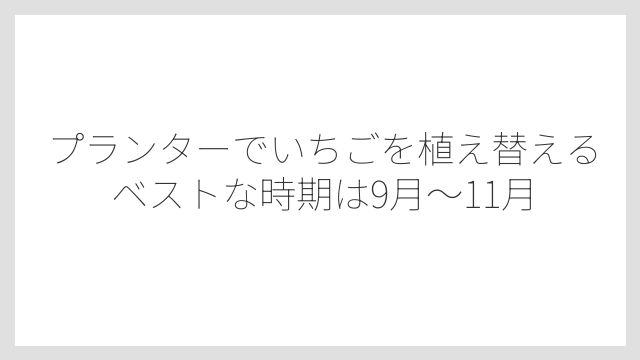 プランターでいちごを植え替えるベストな時期は9月〜11月