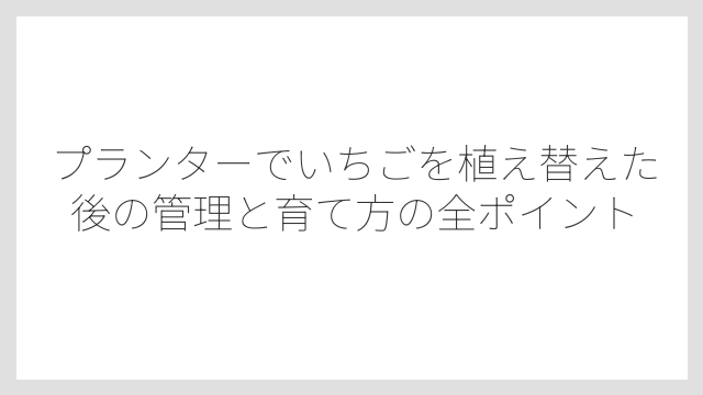 植え付け時にクラウンを埋めないことが成功のカギ