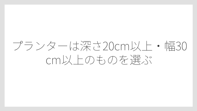 プランターは深さ20cm以上・幅30cm以上のものを選ぶ