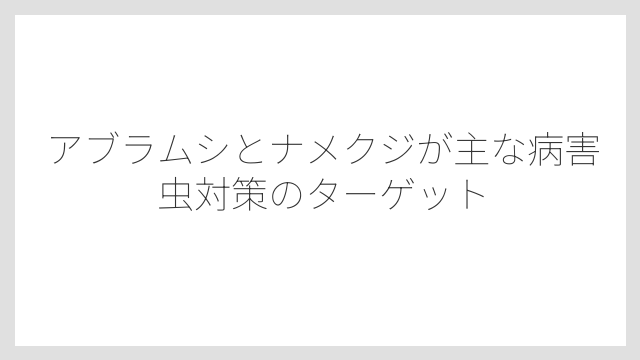 アブラムシとナメクジが主な病害虫対策のターゲット