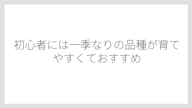 初心者には一季なりの品種が育てやすくておすすめ