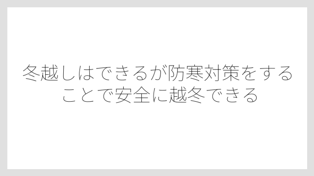 冬越しはできるが防寒対策をすることで安全に越冬できる