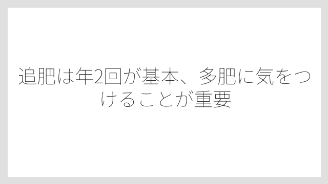 追肥は年2回が基本、多肥に気をつけることが重要