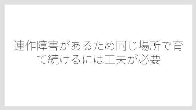 連作障害があるため同じ場所で育て続けるには工夫が必要