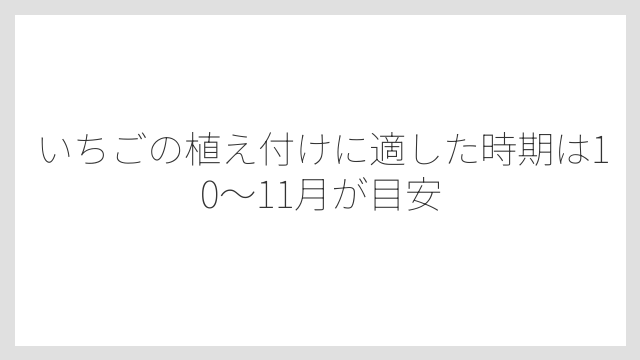 いちごの植え付けに適した時期は10〜11月が目安