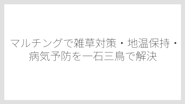 マルチングで雑草対策・地温保持・病気予防を一石三鳥で解決