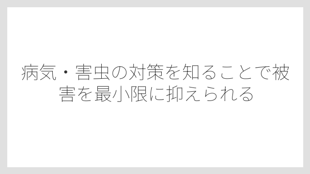 病気・害虫の対策を知ることで被害を最小限に抑えられる