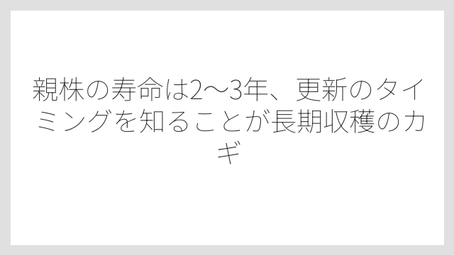 親株の寿命は2〜3年、更新のタイミングを知ることが長期収穫のカギ