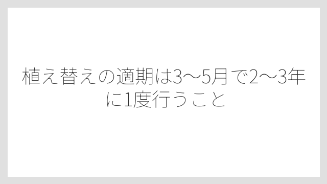 植え替えの適期は3〜5月で2〜3年に1度行うこと