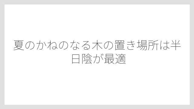 夏のかねのなる木の置き場所は半日陰が最適