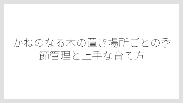 土は水はけのよいものを選ぶことで根腐れを防げる