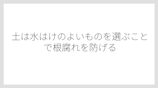 土は水はけのよいものを選ぶことで根腐れを防げる