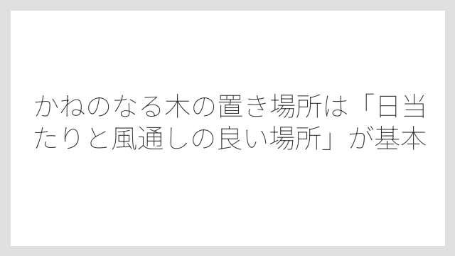 かねのなる木の置き場所は「日当たりと風通しの良い場所」が基本