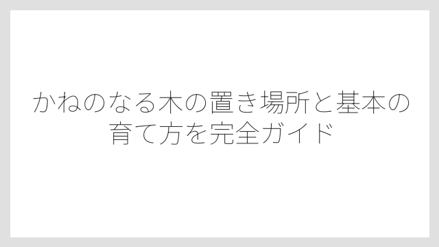 かねのなる木の置き場所と基本の育て方を完全ガイド