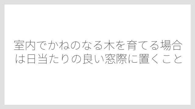 室内でかねのなる木を育てる場合は日当たりの良い窓際に置くこと