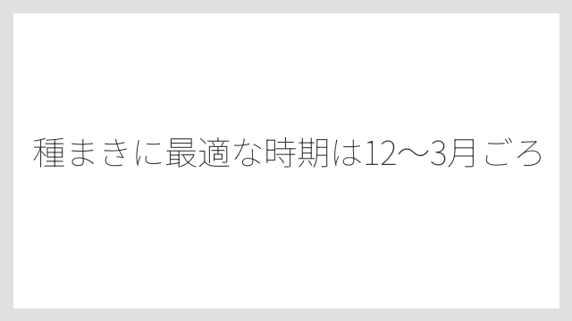 種まきに最適な時期は12〜3月ごろ