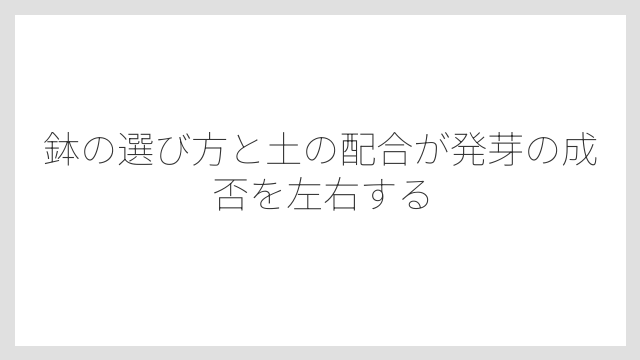 鉢の選び方と土の配合が発芽の成否を左右する