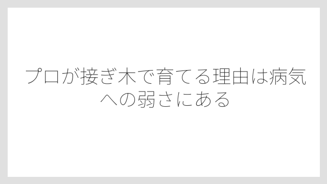 プロが接ぎ木で育てる理由は病気への弱さにある