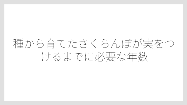 種から育てたさくらんぼが実をつけるまでに必要な年数