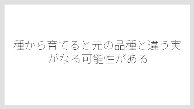 種から育てると元の品種と違う実がなる可能性がある
