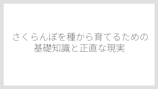 さくらんぼを種から育てるための基礎知識と正直な現実