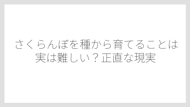 さくらんぼを種から育てることは実は難しい？正直な現実