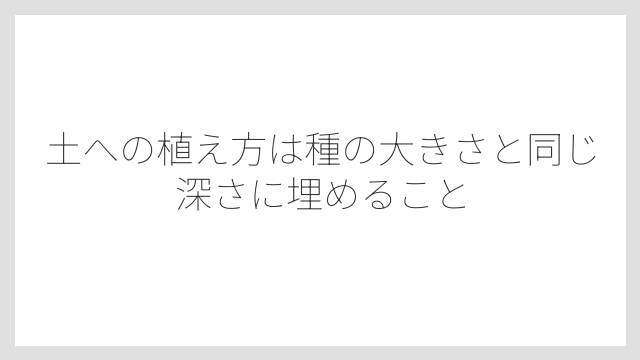 土への植え方は種の大きさと同じ深さに埋めること