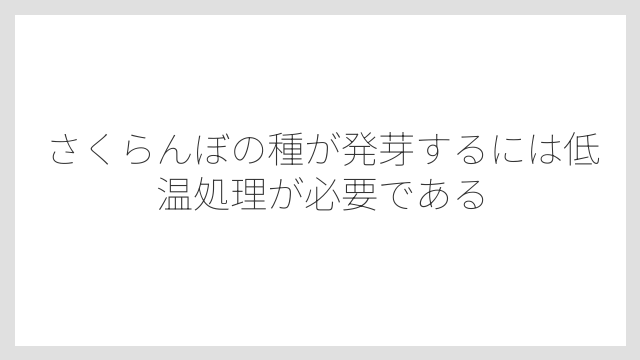 さくらんぼの種が発芽するには低温処理が必要である