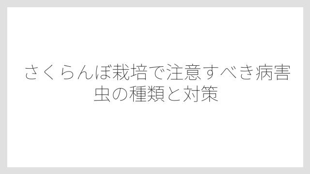 さくらんぼ栽培で注意すべき病害虫の種類と対策