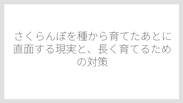 発芽後から移植までの育て方と管理のポイント