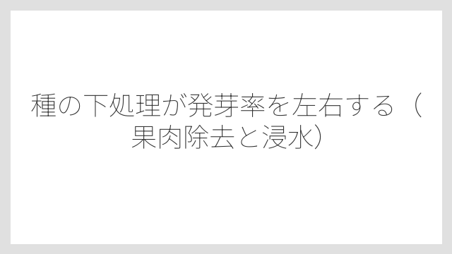 種の下処理が発芽率を左右する（果肉除去と浸水）