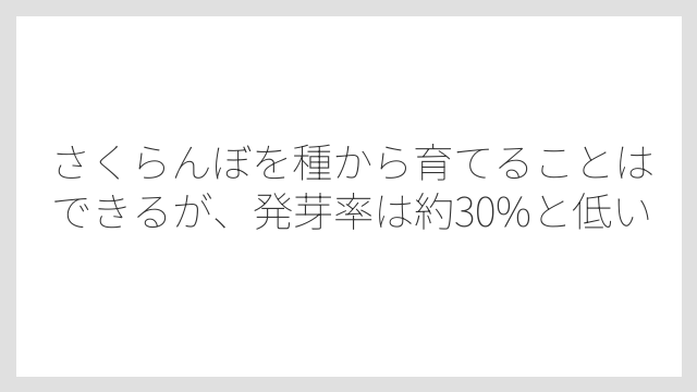 さくらんぼを種から育てることはできるが、発芽率は約30%と低い