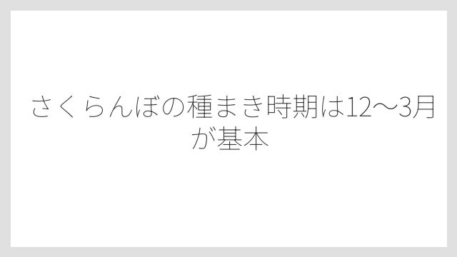 さくらんぼの種まき時期は12〜3月が基本